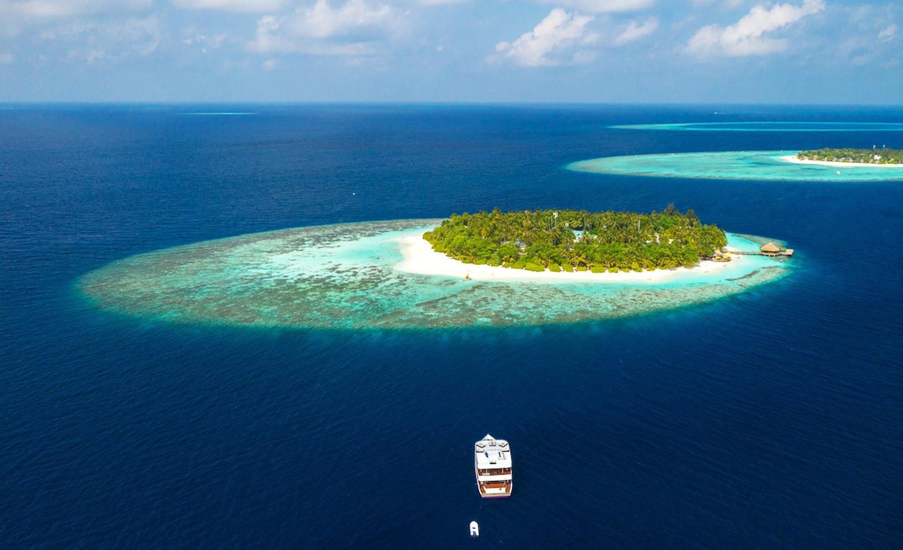 Cruise Charter